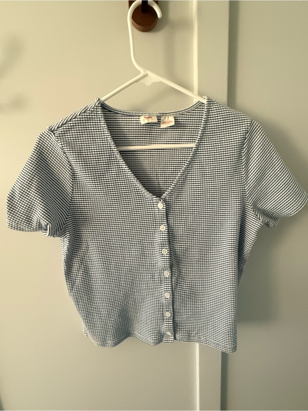 Cropped Button-Front V-Neck Top in Blue Stripes